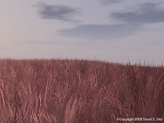 redgrass